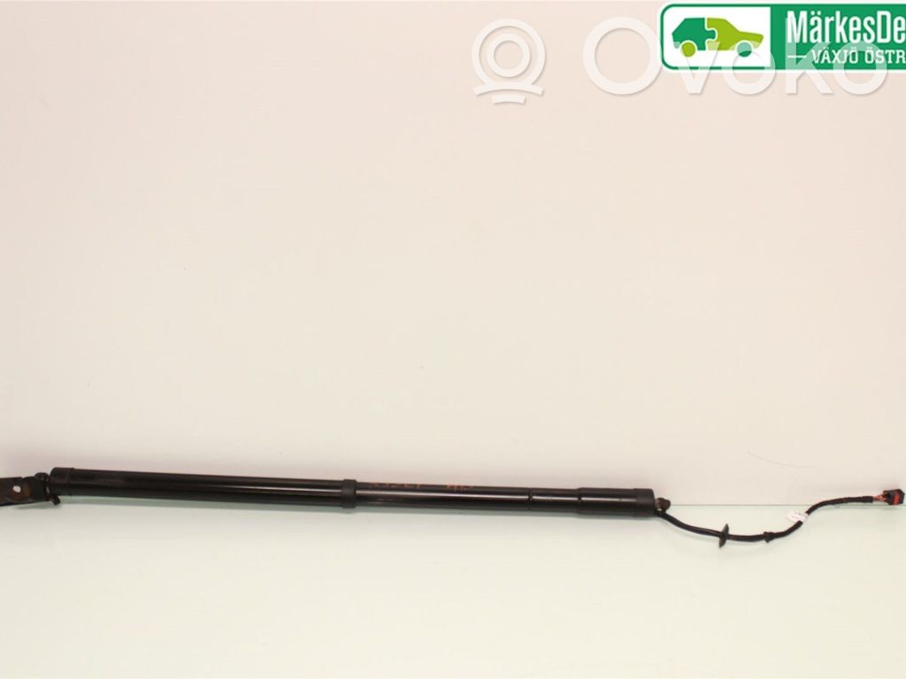 Ford C-MAX II Tailgate strut 