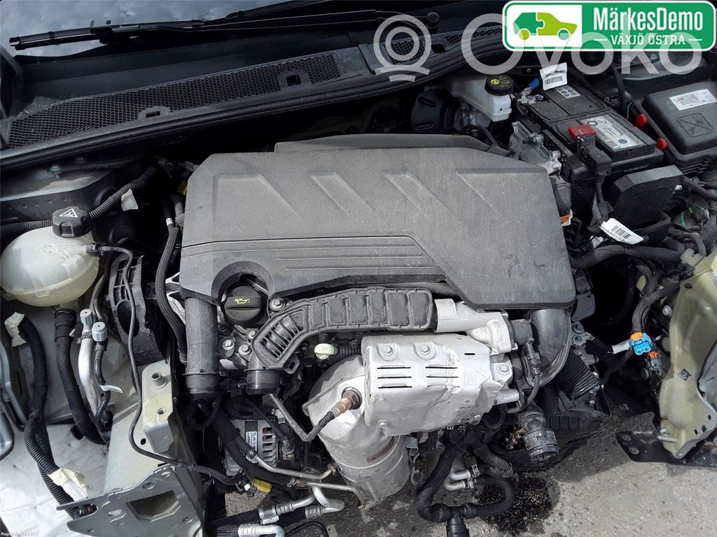 Motor   1637833780