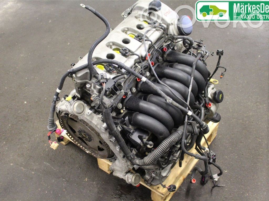 Porsche Cayenne (9PA) Motor 