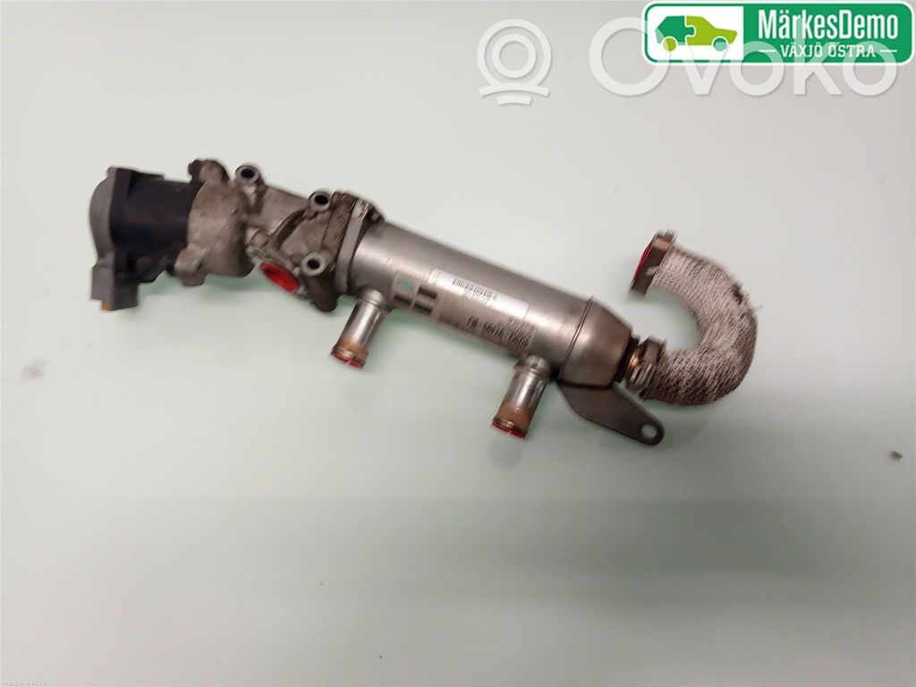 Citroen C6 Refrigerador de la válvula EGR 