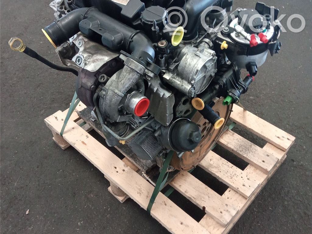Ford Focus Motore 