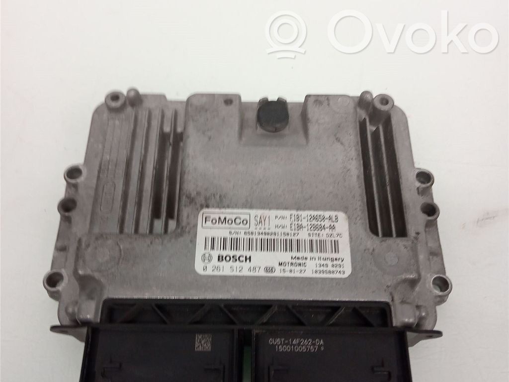 Ford Fiesta Injection control unit/module 