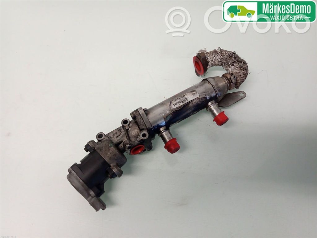 Citroen C6 Refrigerador de la válvula EGR 