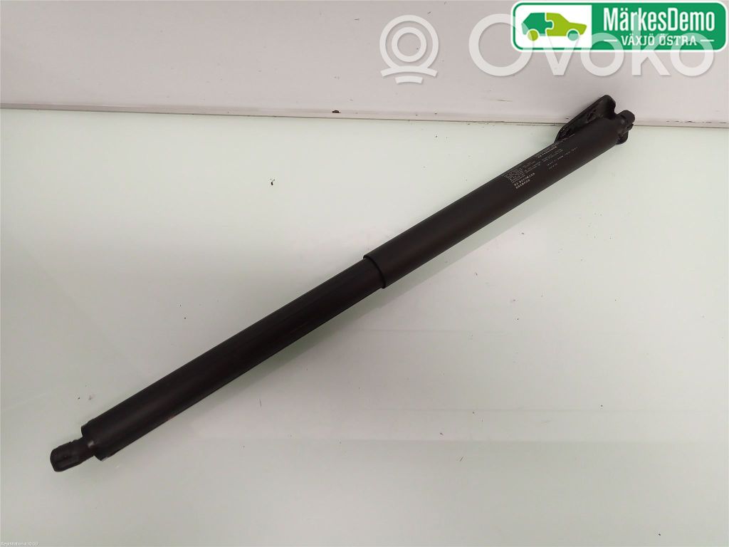 Tailgate strut   10416172