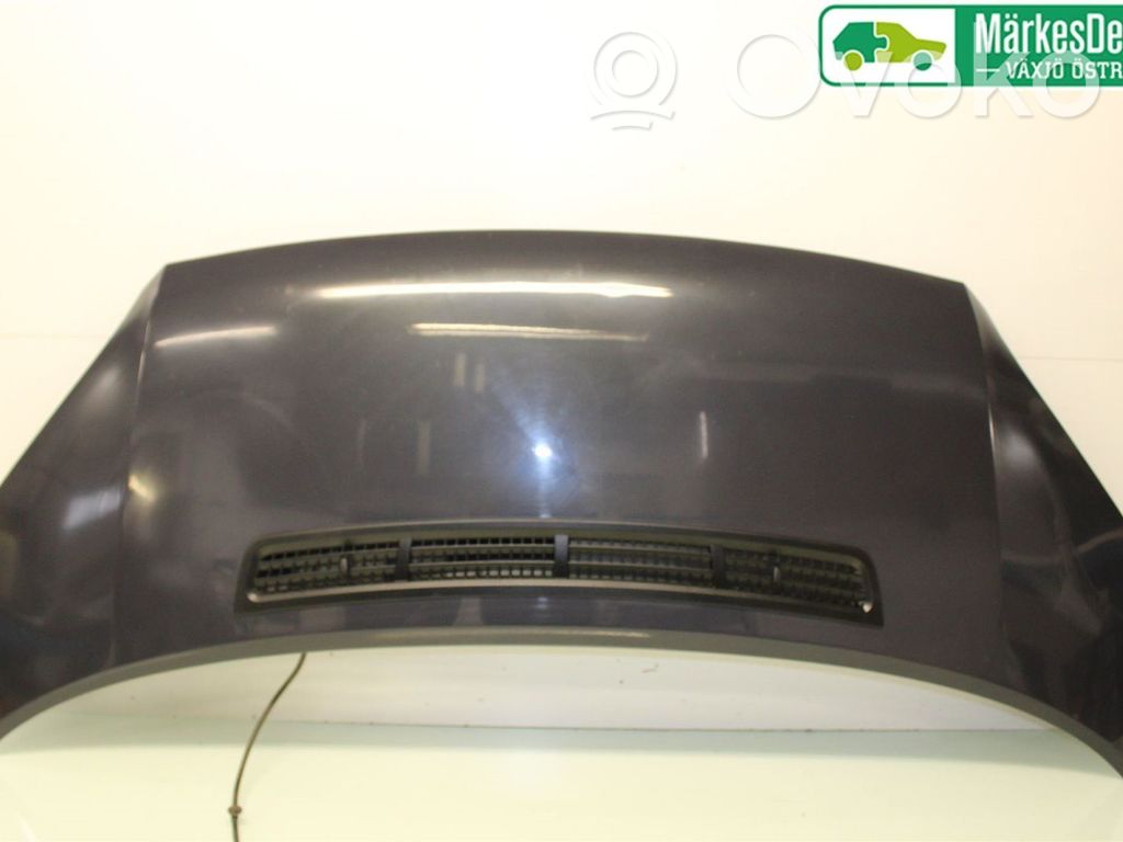 Capó/tapa del motor   2454107