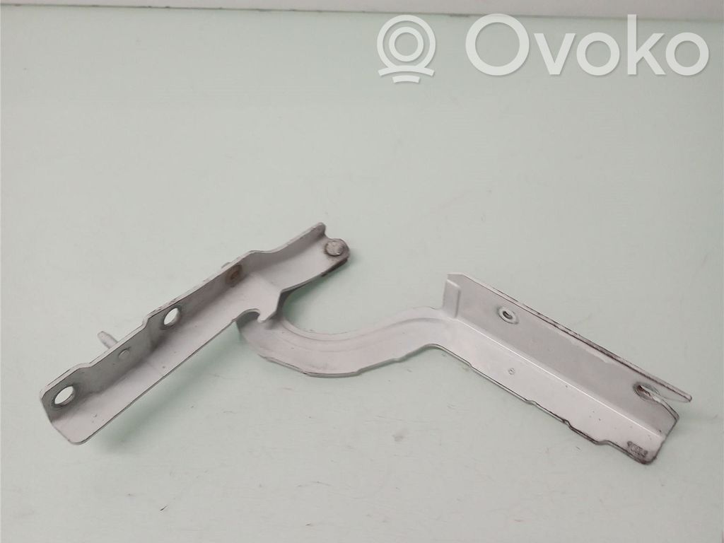 Engine bonnet/hood hinges   791296