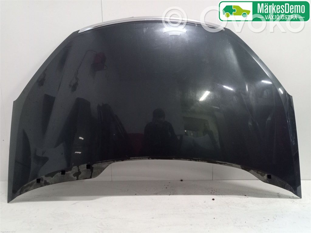 Motorhaube   1493967