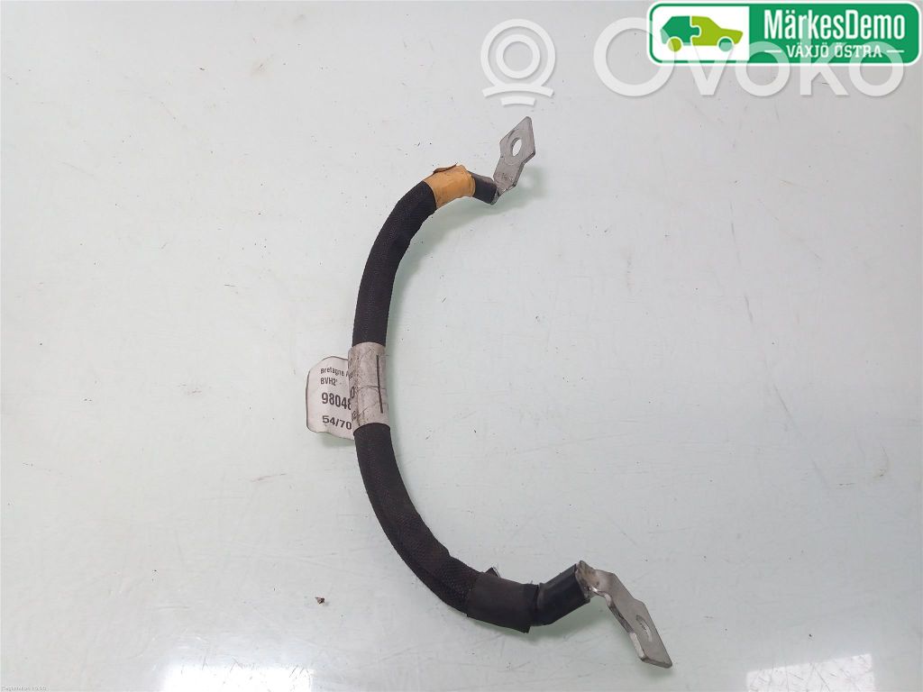 Peugeot Expert Plusa vads (akumulatora) 
