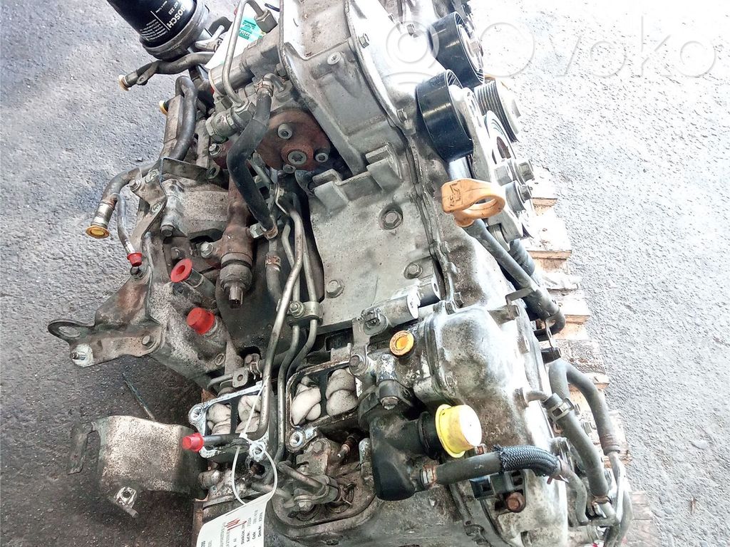 Motor   10100BW700