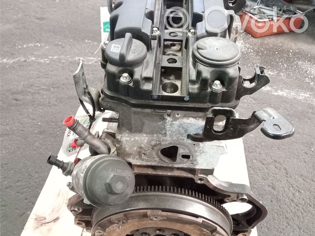 Motor   55593848