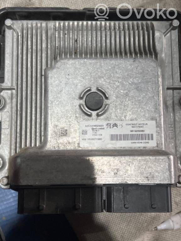 Engine control unit/module ECU   9819069060,9806671980