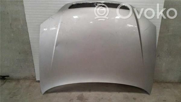 Engine bonnet/hood