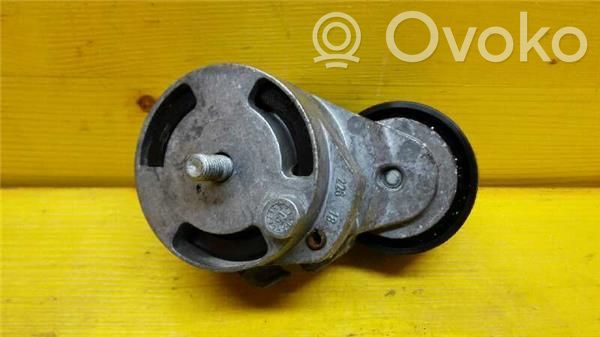 Ford Fiesta Generator/alternator belt tensioner 
