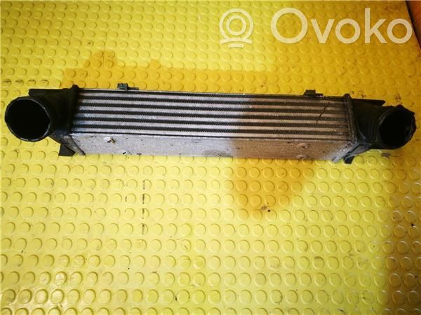 Intercooler radiator   752491607,3093796