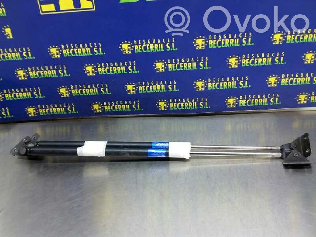 Suzuki Wagon R+ Ammortizzatore portellone posteriore/bagagliaio
