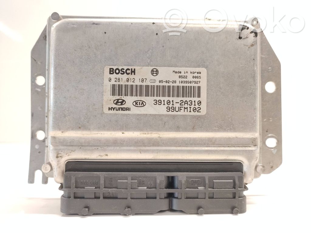 Hyundai Matrix Engine control unit/module 