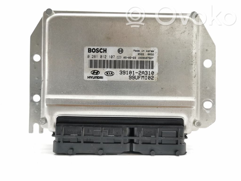 Engine control unit/module   0281012107,391012A310,99UFMI02