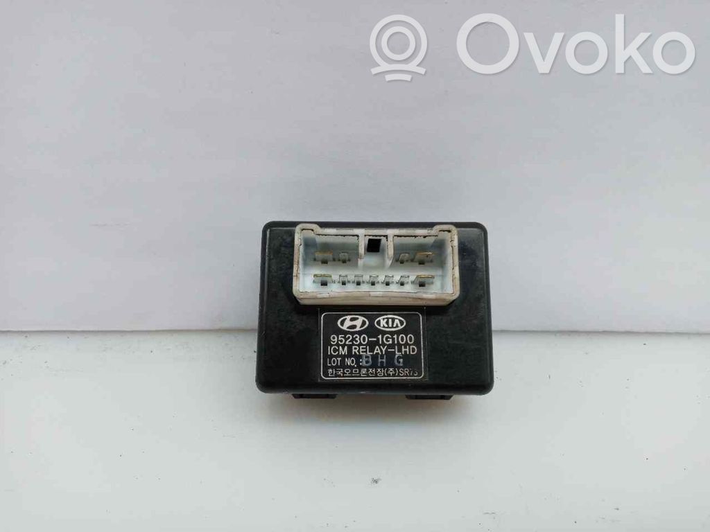 Módulo de fusible   952301G100