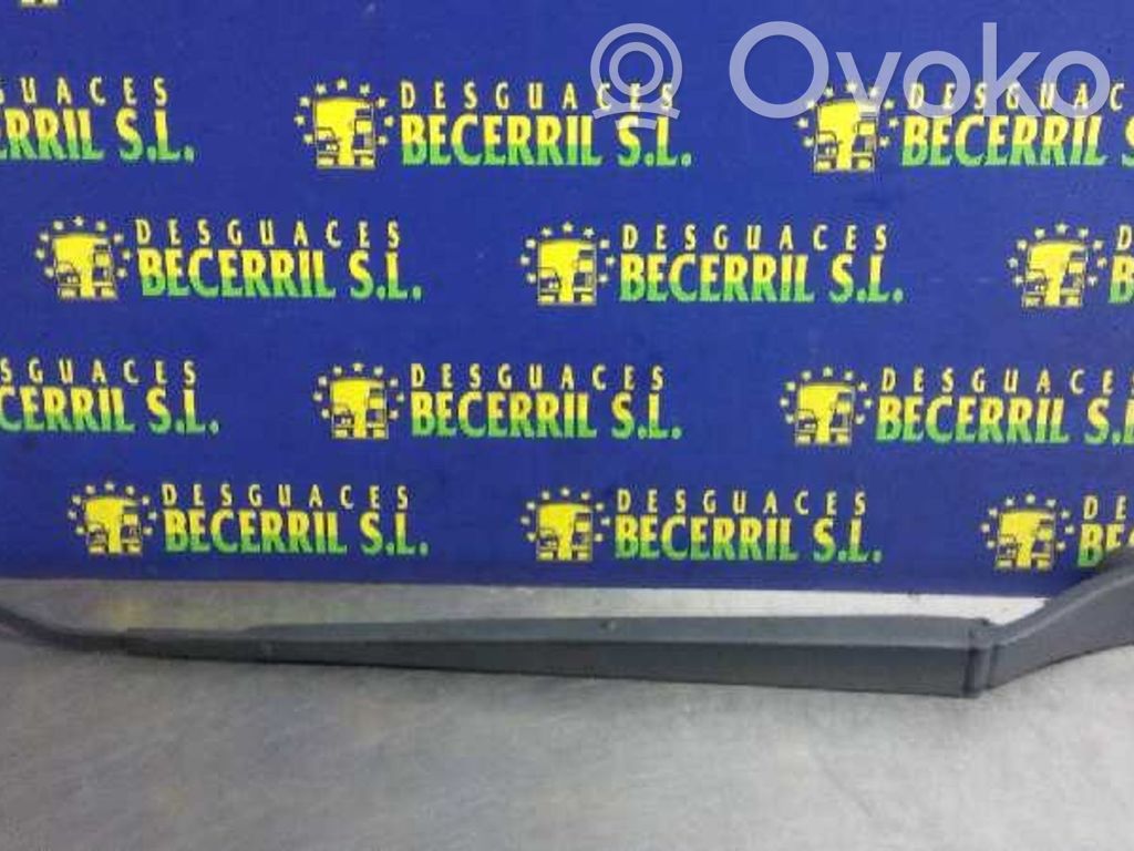 Wischerarm vorne
