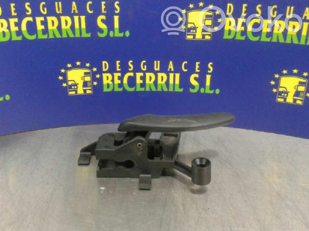 Manecilla interna puerta trasera