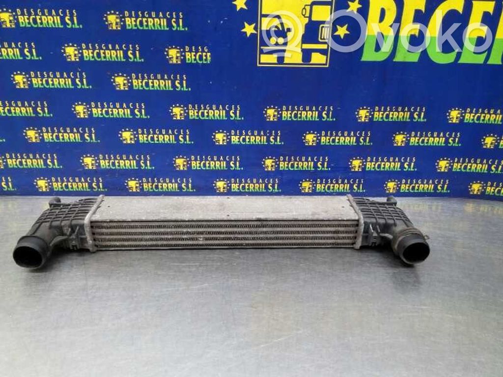 Seat Alhambra (Mk1) Radiator intercooler 