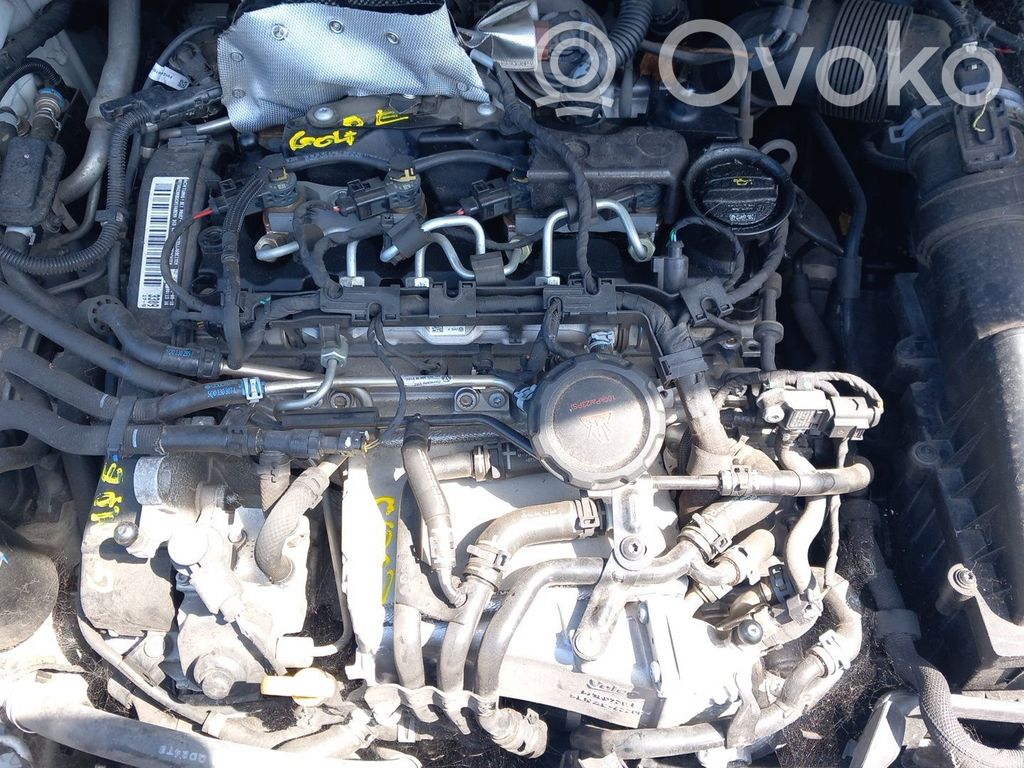 Motor   DGD