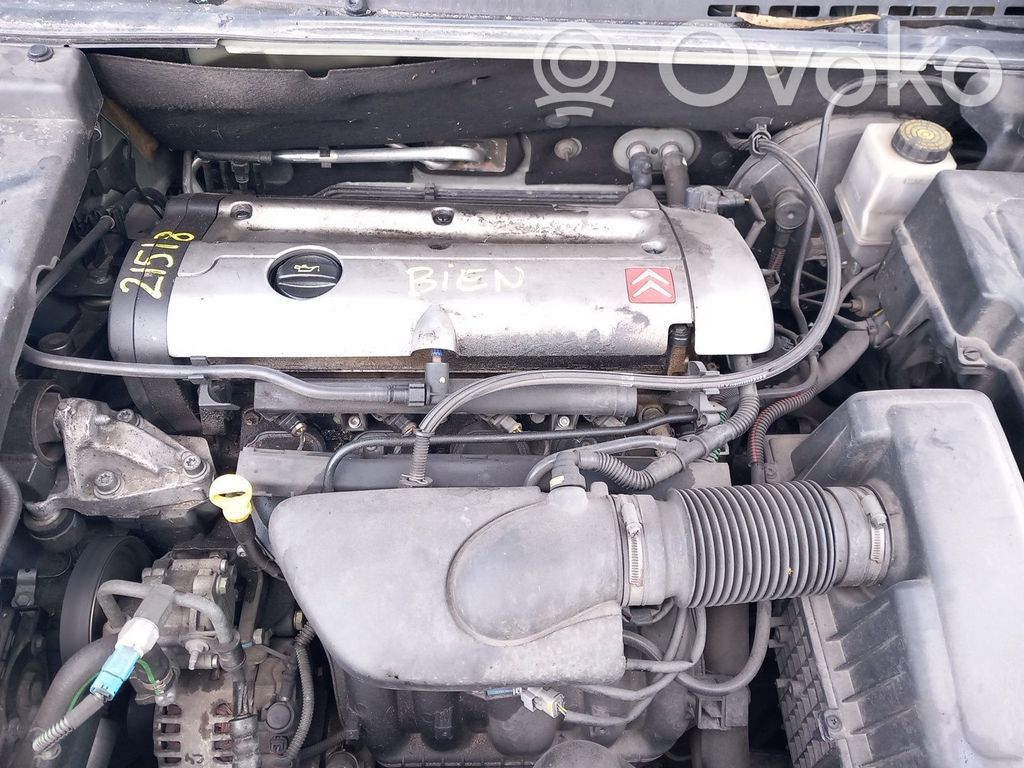 Motor   6FZ