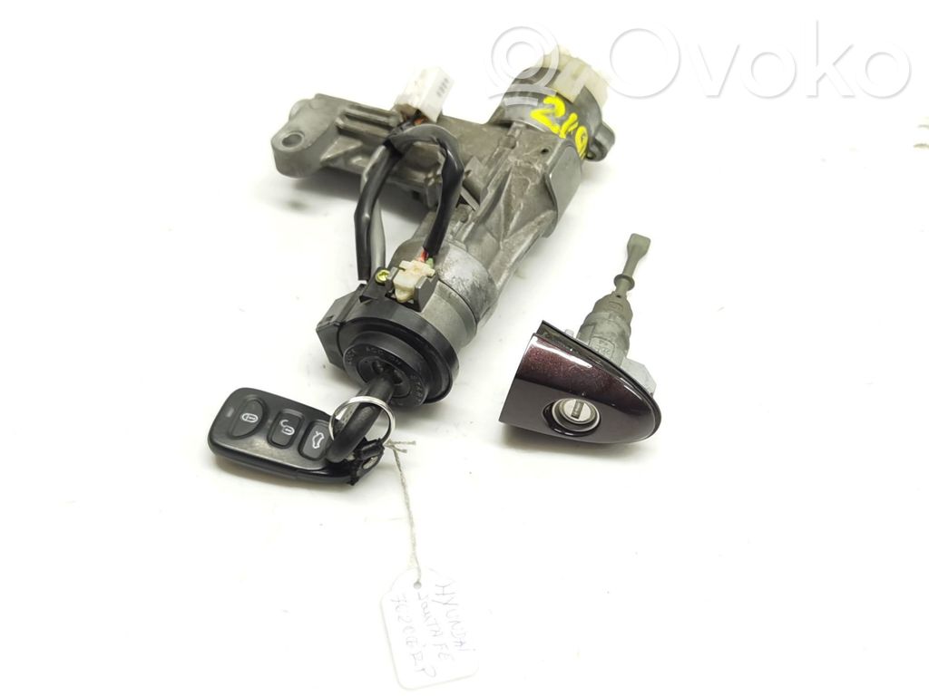 Hyundai Santa Fe Dadi antifurto e blocco ruota 