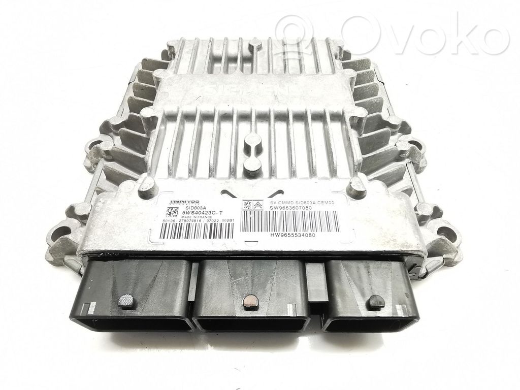 Peugeot 407 Engine control unit/module 