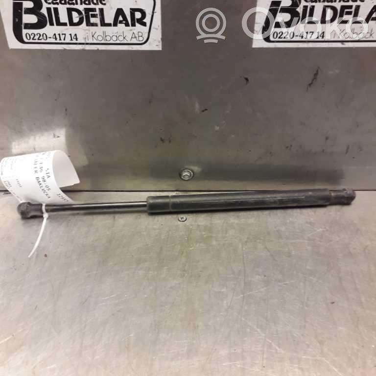 Tailgate strut