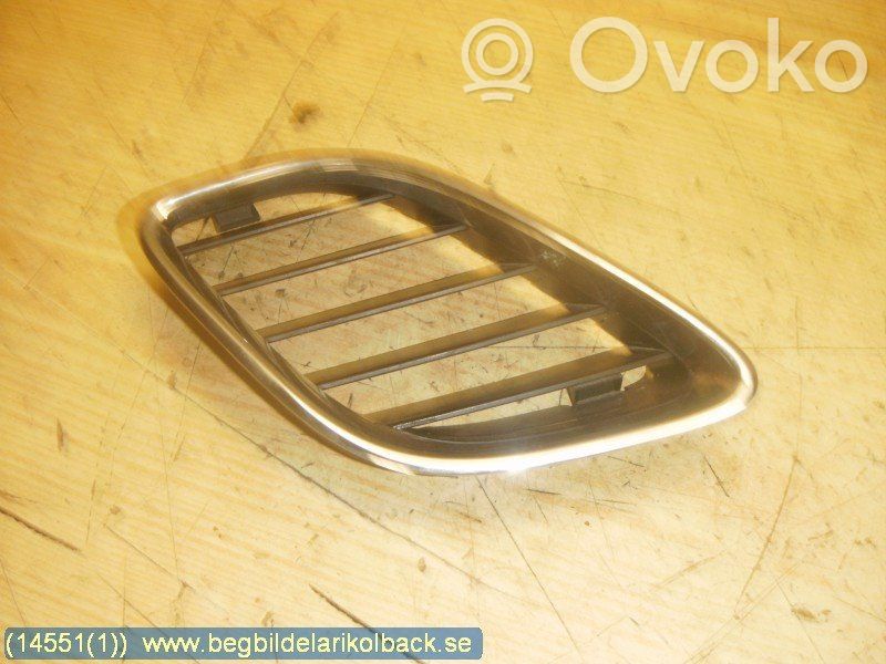 Front bumper lower grill   5142831