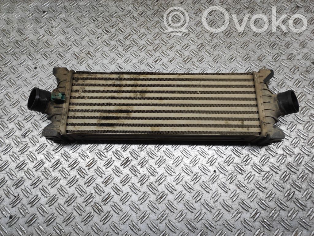 Interkūlerio radiatorius   CC119L440AF,FK8BA
