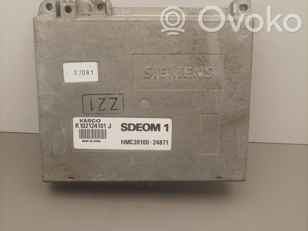Hyundai Lantra I Engine control unit/module 
