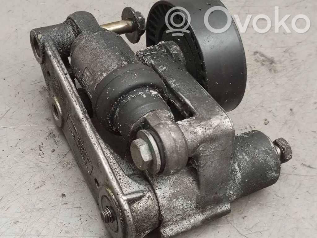 BMW 3 E46 Tensor de correa del alternador 