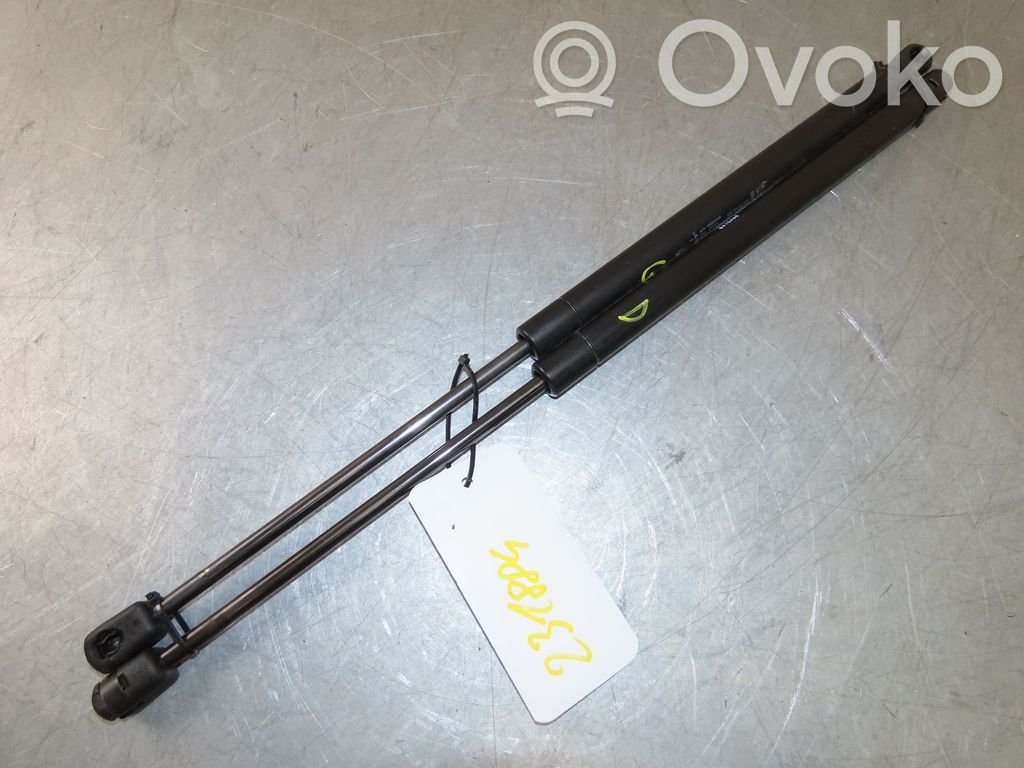 Tailgate/trunk strut/damper   1453743