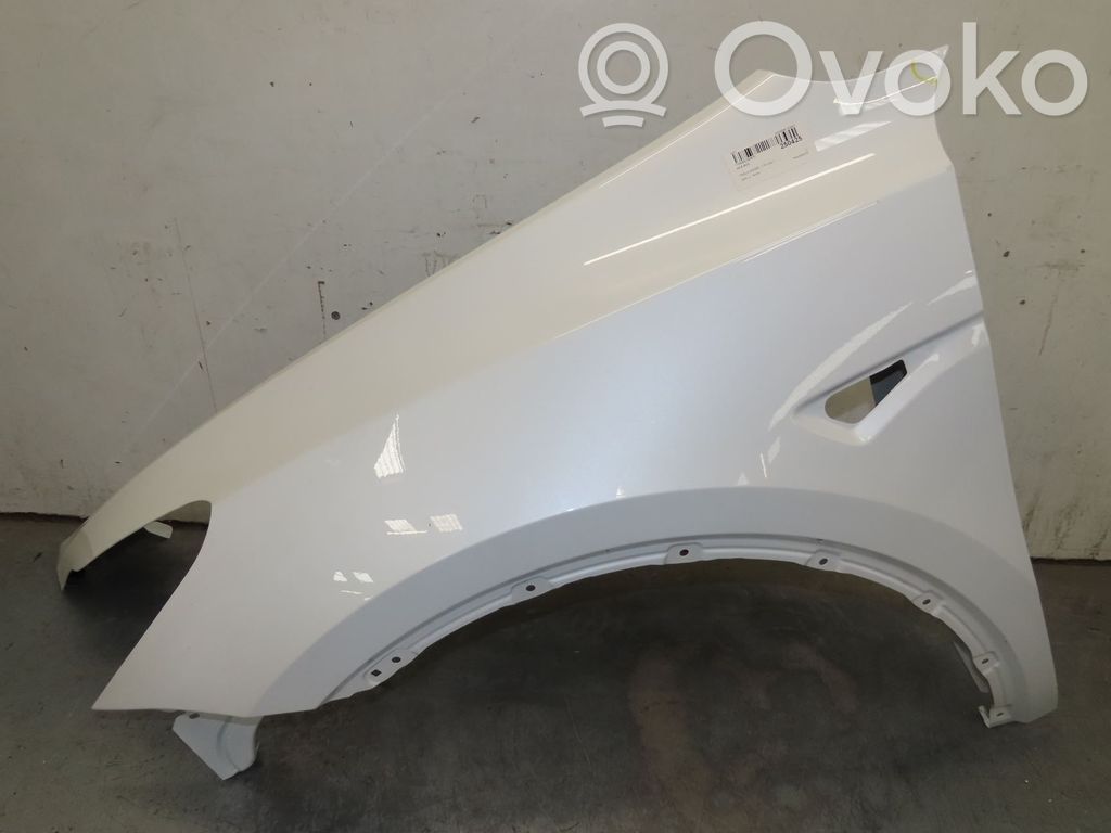 Tesla Model Y Spārns 