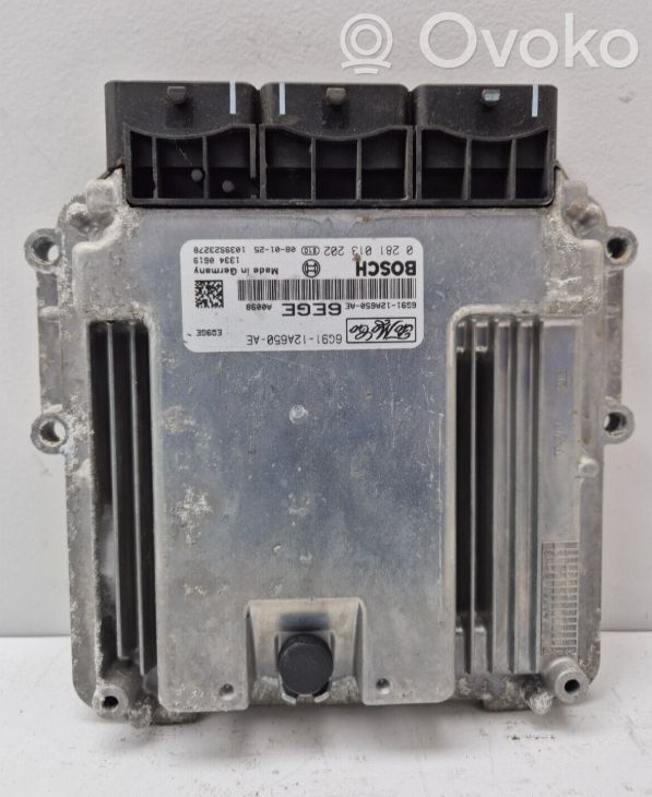 Land Rover Freelander 2 - LR2 Engine control unit/module 
