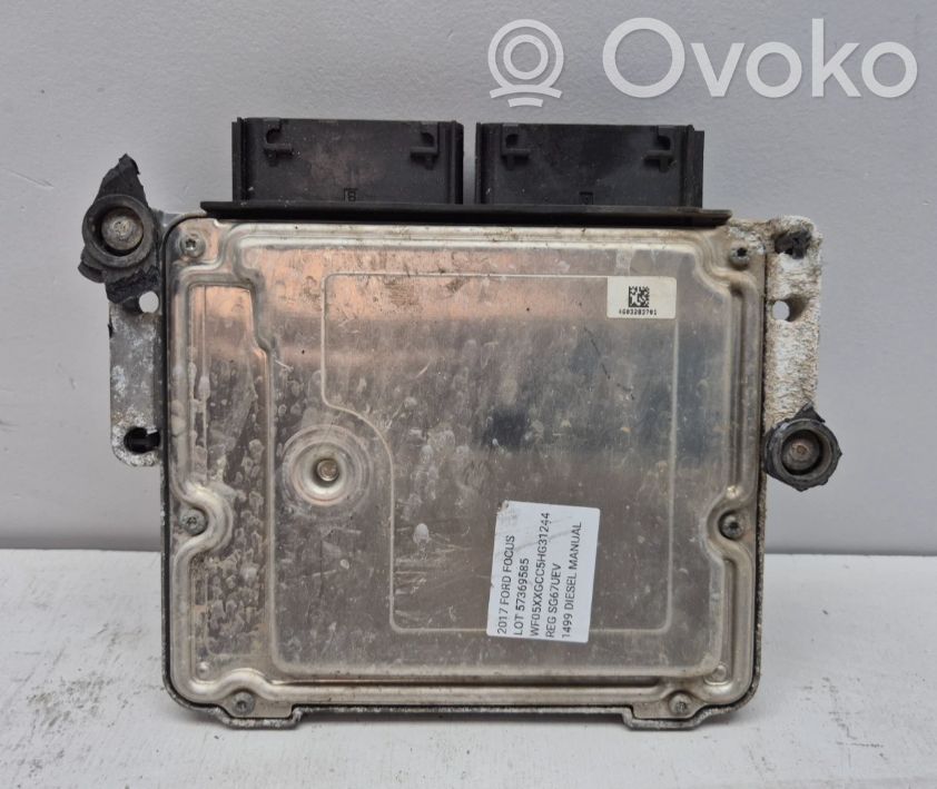 Ford Focus Engine control unit/module 