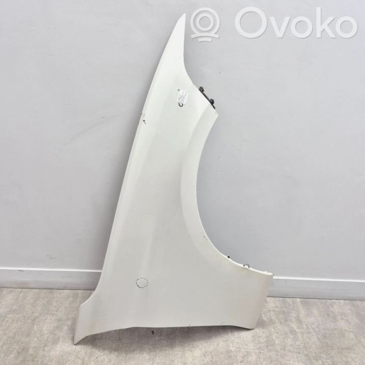 BMW 1 F20 F21 Fender 