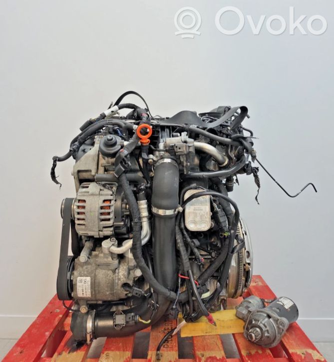 Seat Ibiza IV (6J,6P) Variklis 