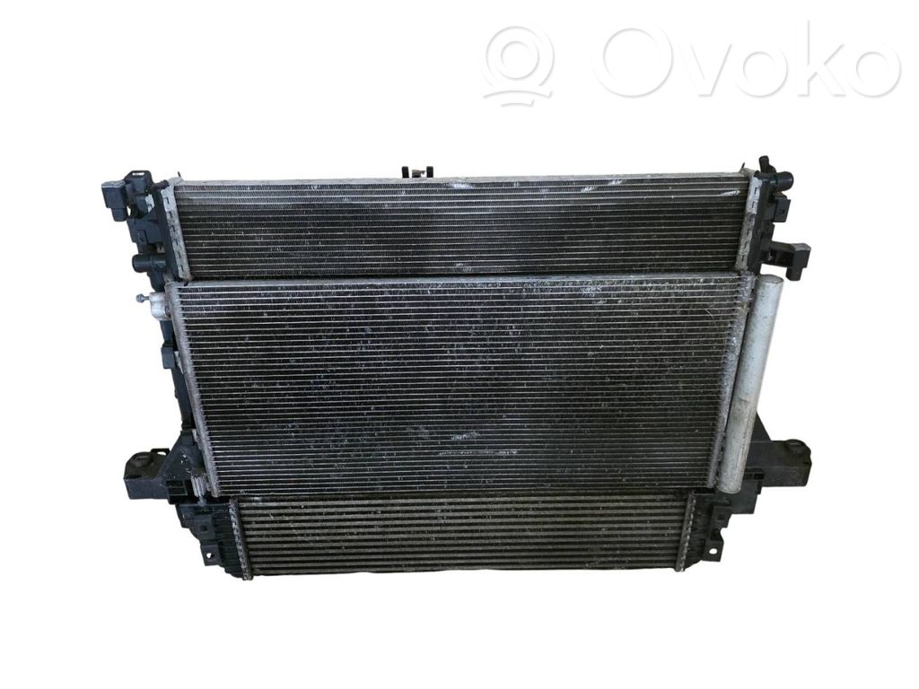Intercooler radiator   144960015R,214815872R
