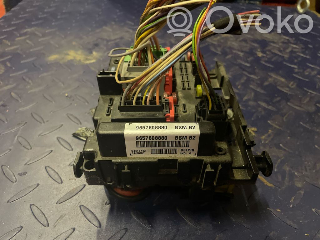 Fuse module   9657608880