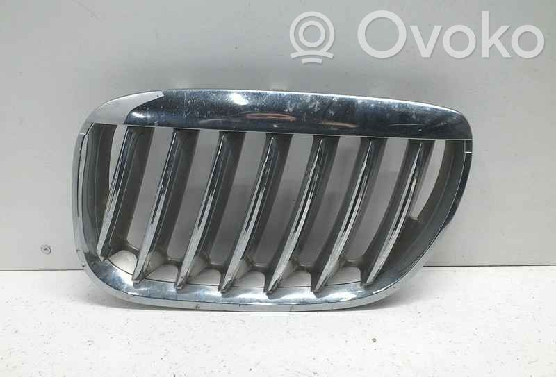 BMW X5 E53 Front grill 