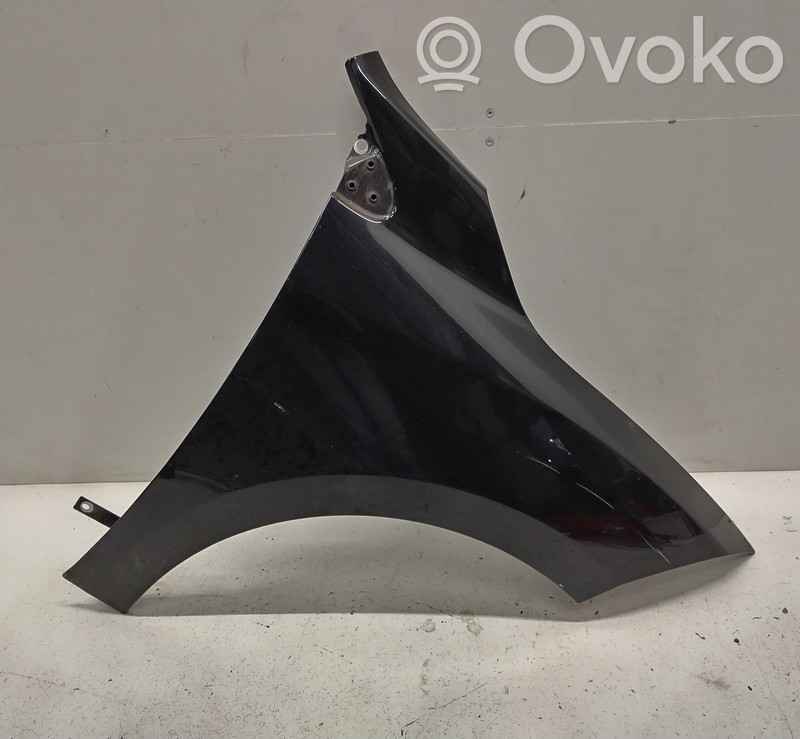 Guardabarro   631007490R,0007262,6168105,VDMS12
