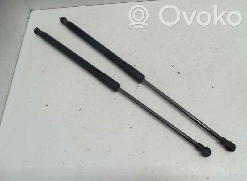 Tailgate/trunk strut/damper   51247239871,0007761,6169926,VDMS12