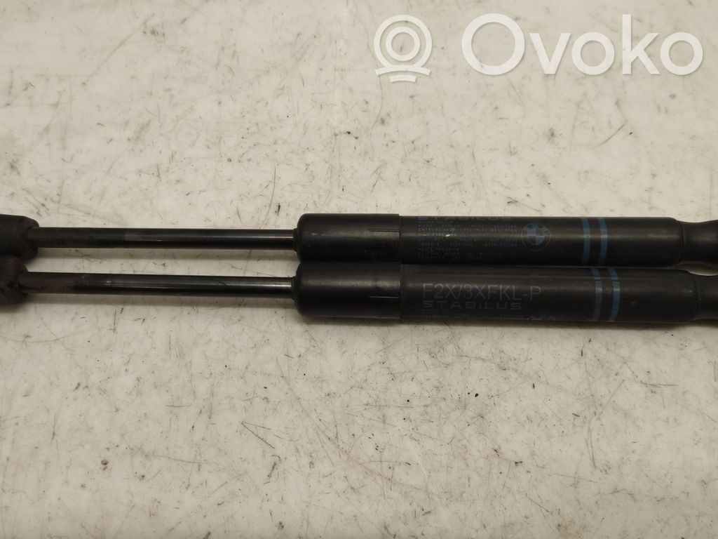 BMW 3 F30 F35 F31 Front bonnet/hood damper/strut 