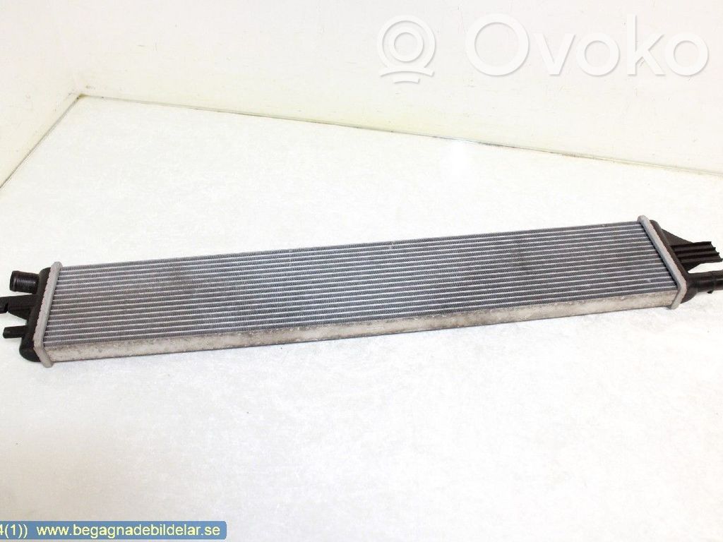Coolant radiator   214C10001R