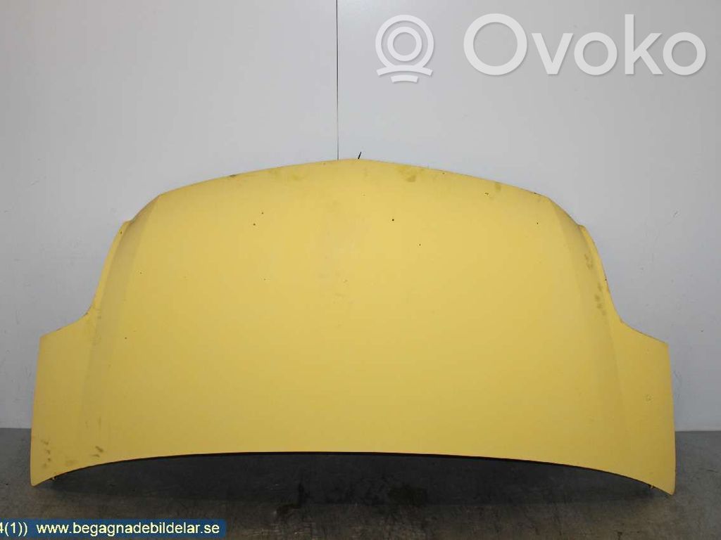 Dzinēja pārsegs (vāks)