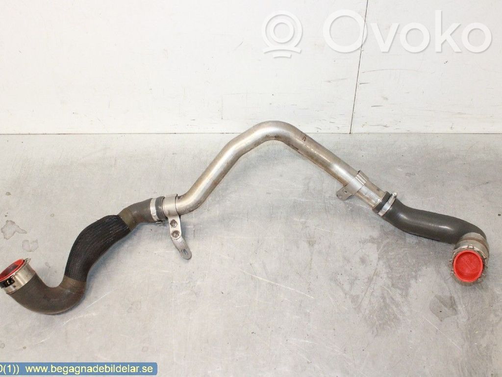 Intercooler hose/pipe   144602862R