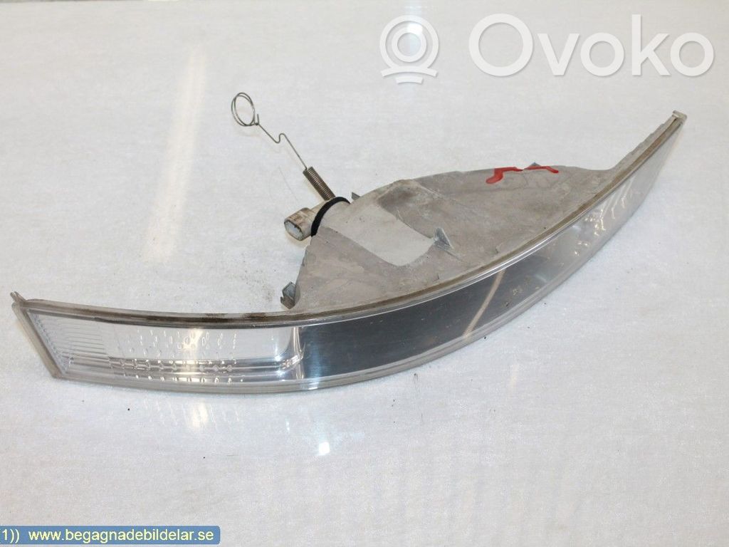 Frontblinker   8200163919,8200163914